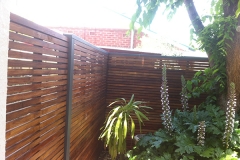 Hardwoods Privacy Screens in Collinswood